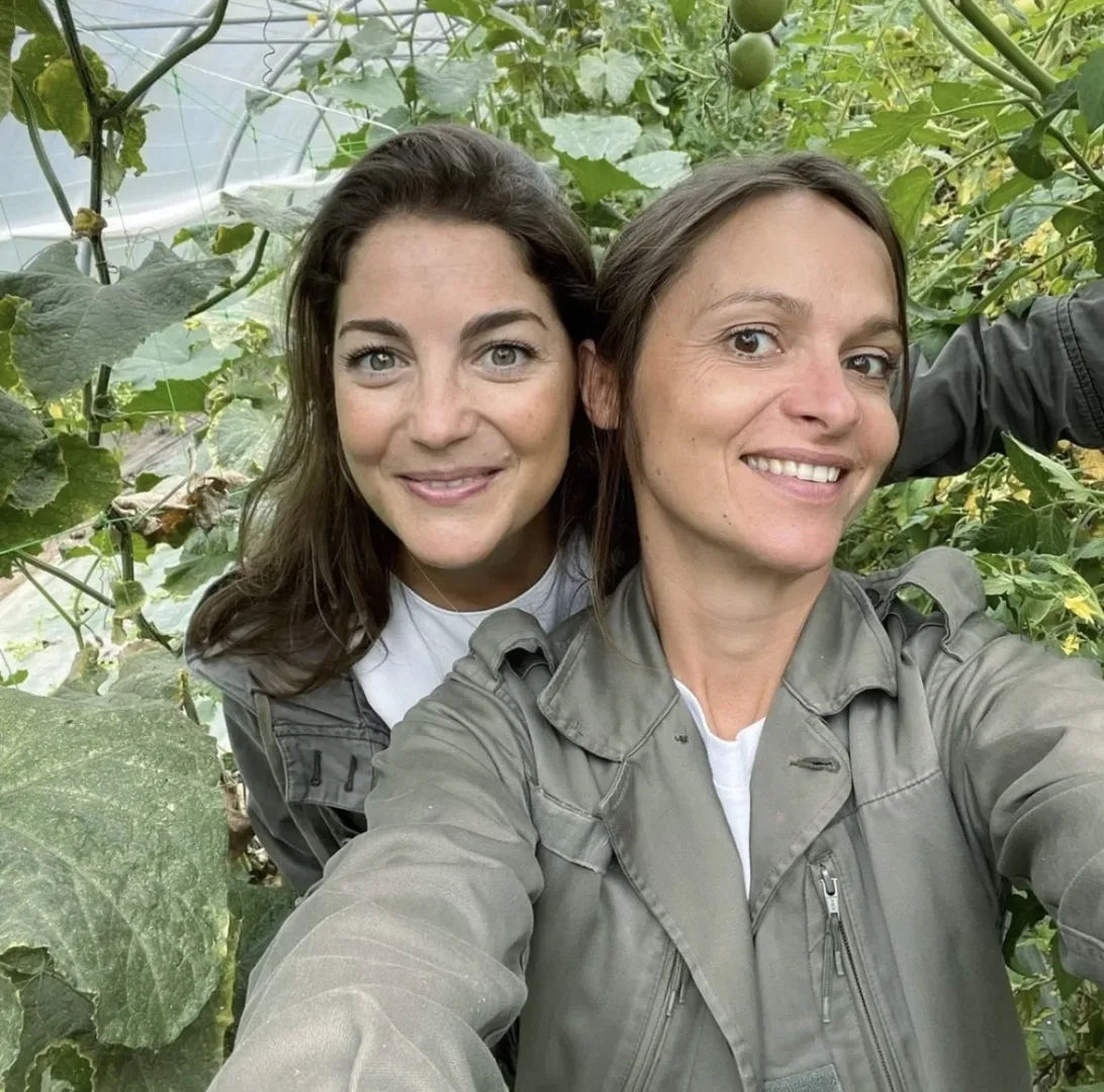 Image illustrative de la marque "Les 3 Chouettes"