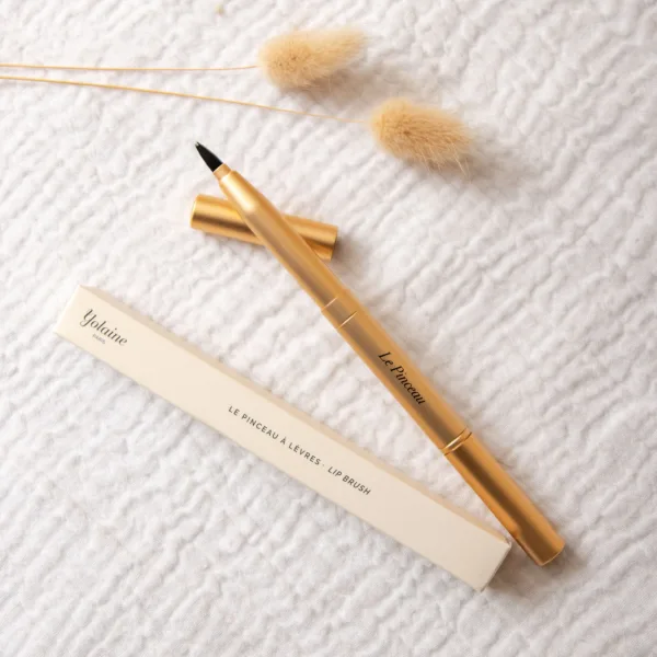 Image illustrative de l'article "Pinceau rétractable lèvre"