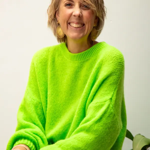 Image illustrative de l'article "Pull vert fluo THEA"